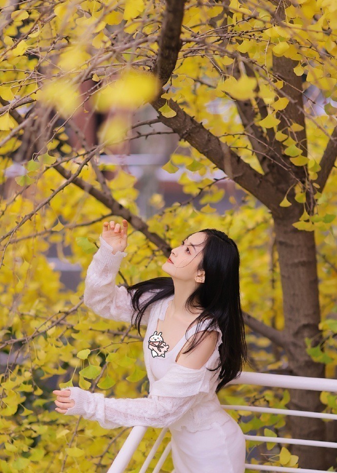 长月烬明 封面